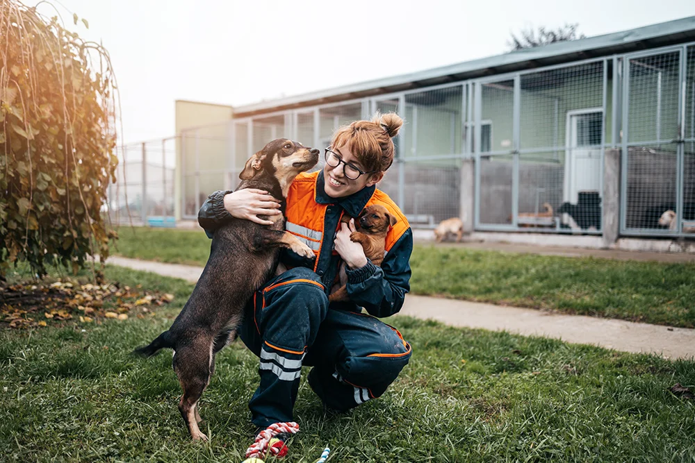 Person with a dog kneeling in front of dog kennels