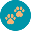 Graphic of paw prints
