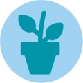 Icon of a plant pot