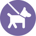 Icon of a dog on a lead